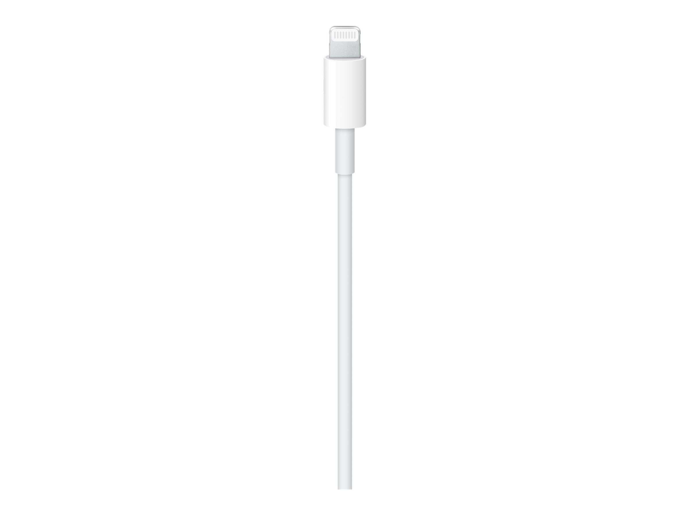Apple Cable Lightning 24 pin USBC macho a Lightning macho 2 m – TIENDA STS