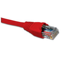 Nexxt Patch Cord Cat6 3Ft Rd - 798302030558