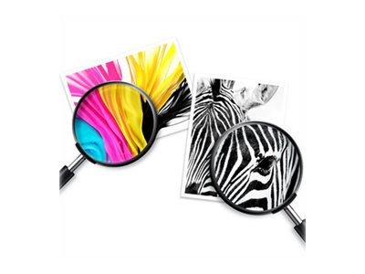 HP 62XL - 12 ml - Alto rendimiento - negro - original - cartucho de tinta - para ENVY 55XX, 56XX, 76XX; Officejet 200, 250, 57XX, 8040